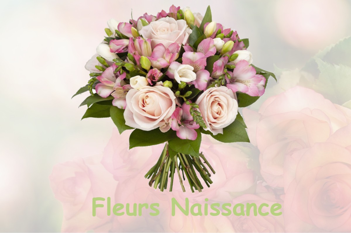 fleurs naissance SAINT-MARS-DE-LOCQUENAY
