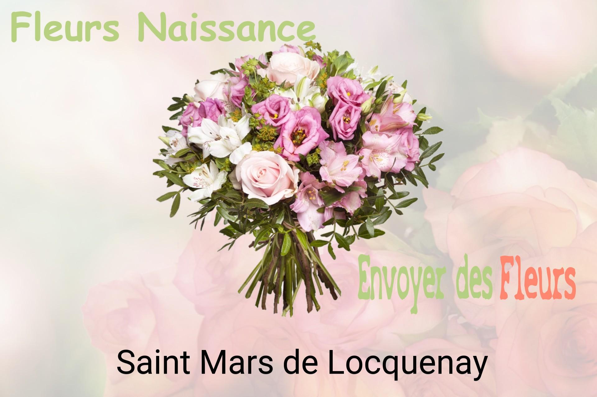 Bouquet de fleurs de naissance livré à Saint-Mars-de-Locquenay